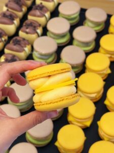 macaron