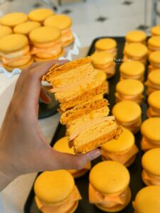 Cheesy Cheese Macaron