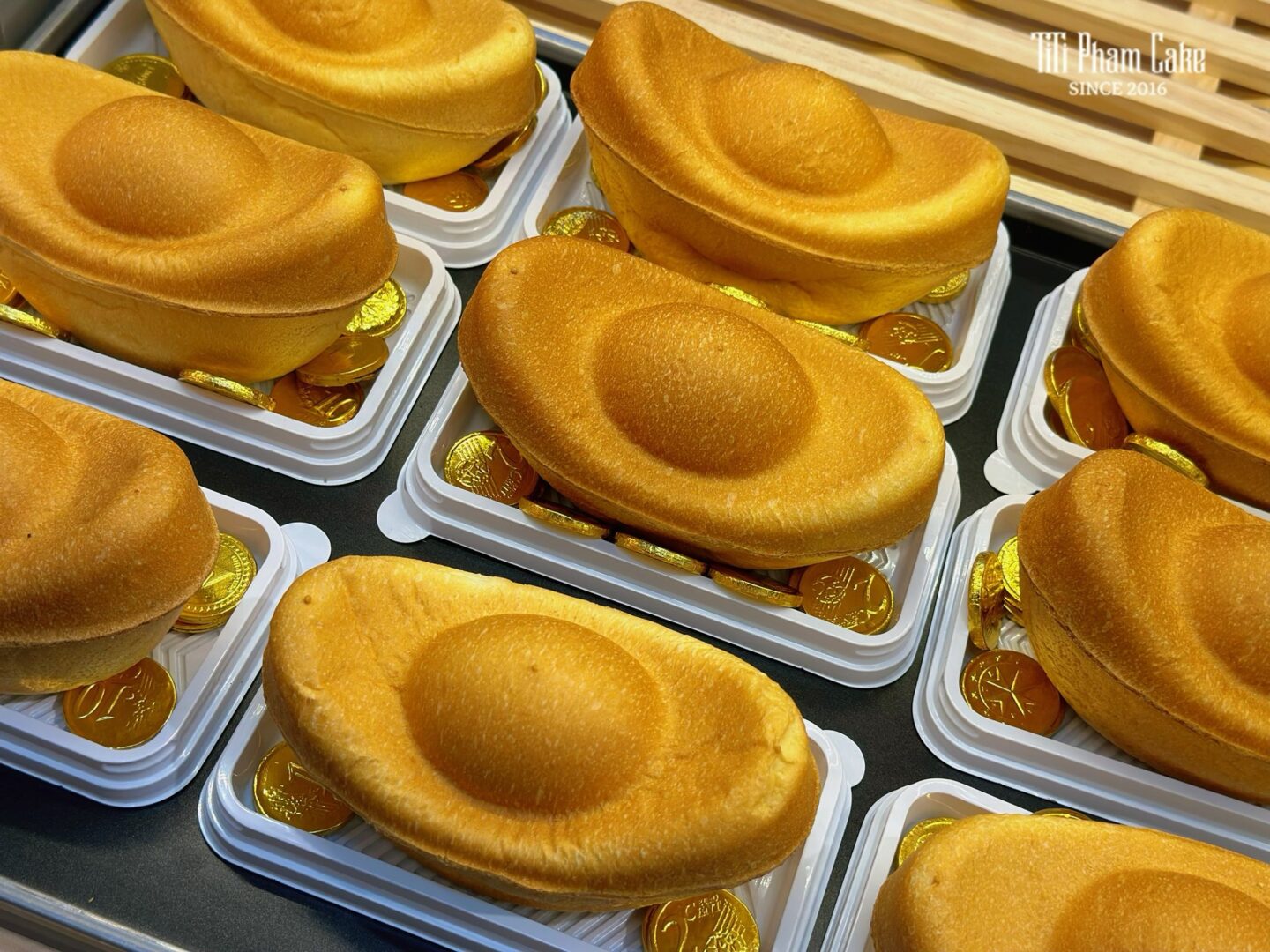 638749658_1331852978979401_3947558307895699010_n