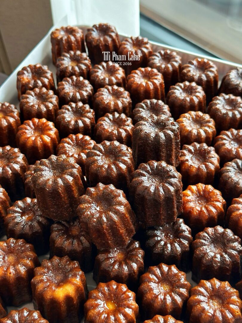 642833187_1336832768481422_8371019972236125947_n