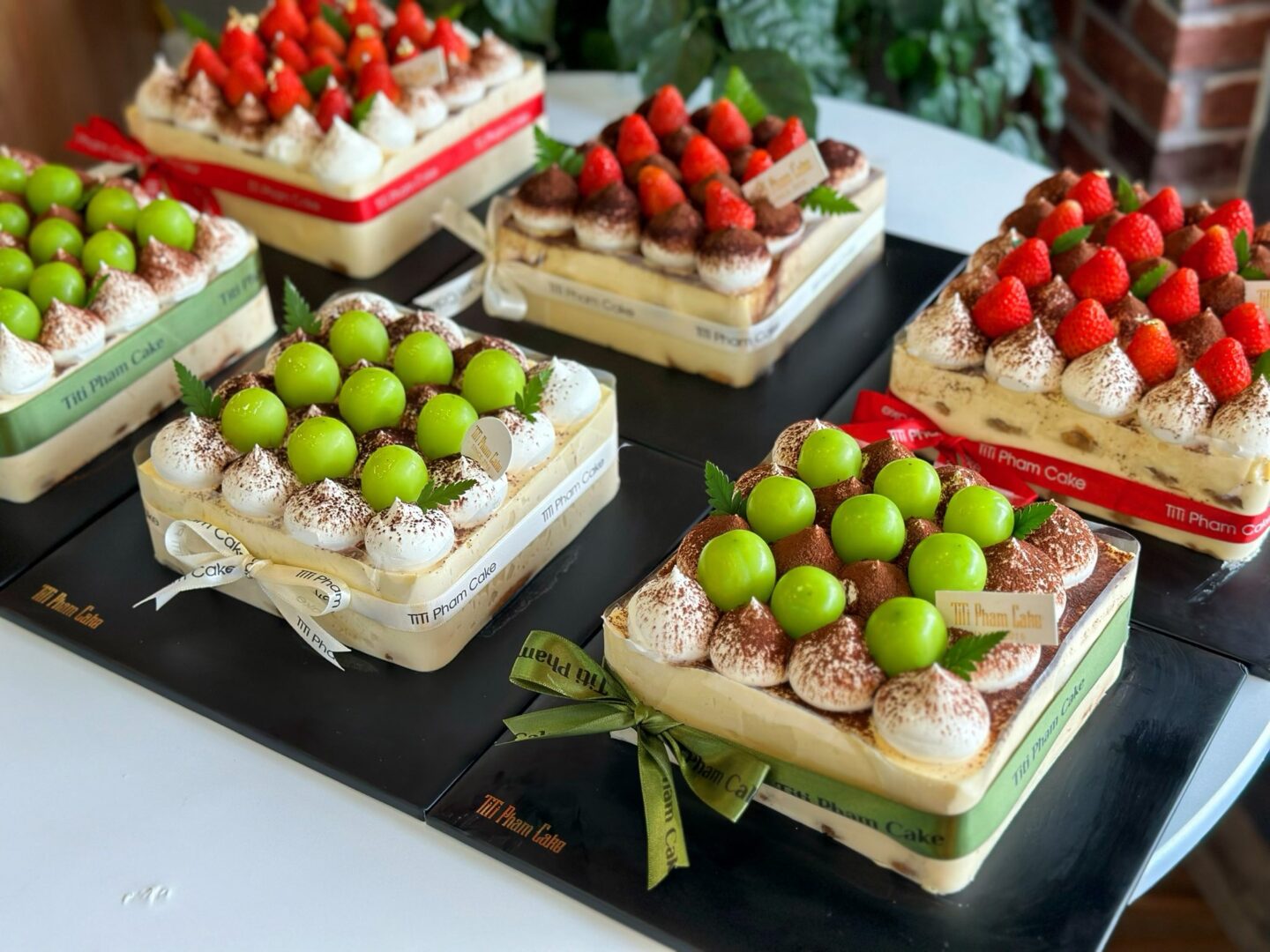 643467454_1336827155148650_7715185171104817448_n