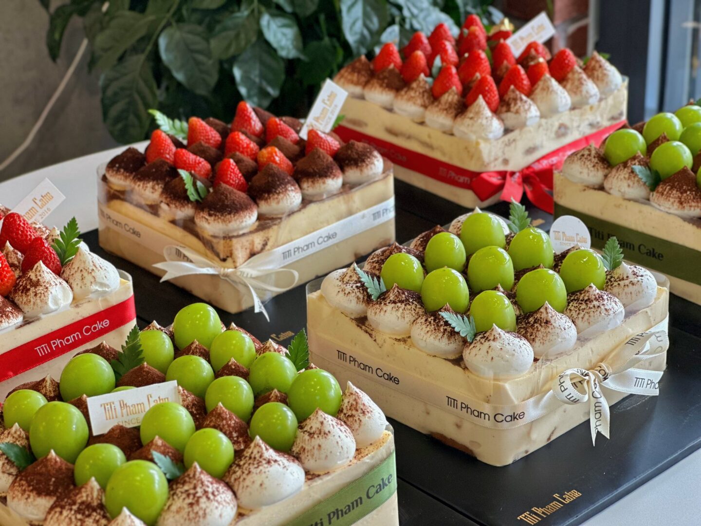 645377573_1336827201815312_3212112153230143924_n