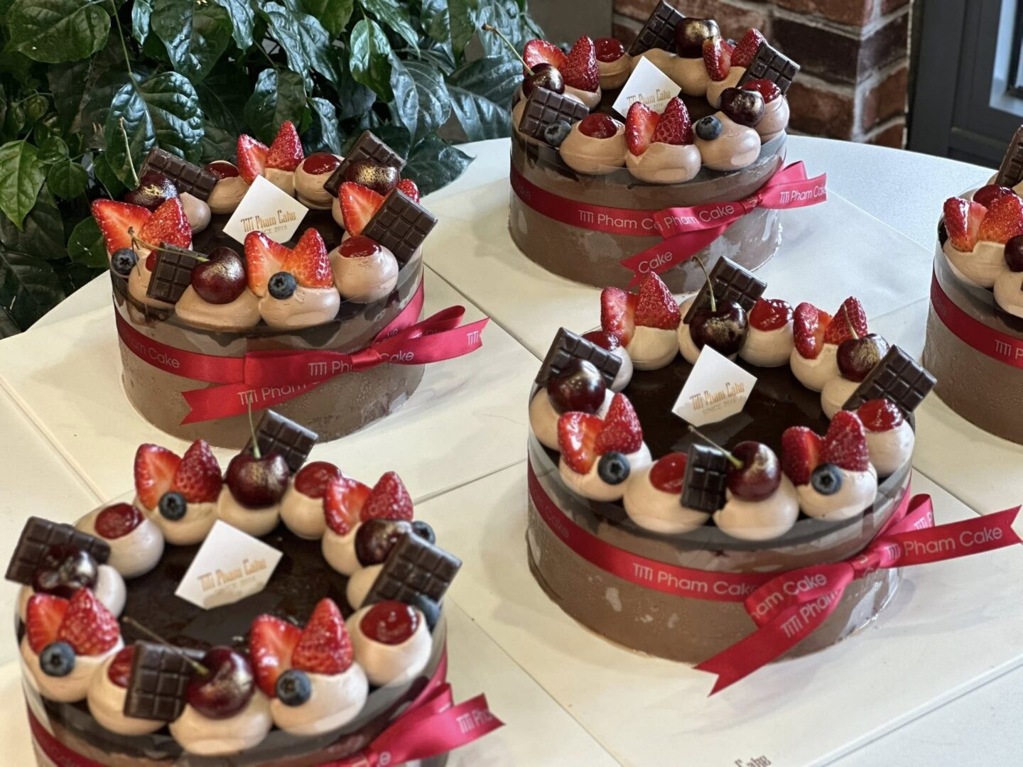 650340433_1348753903955975_9207624556935535617_n