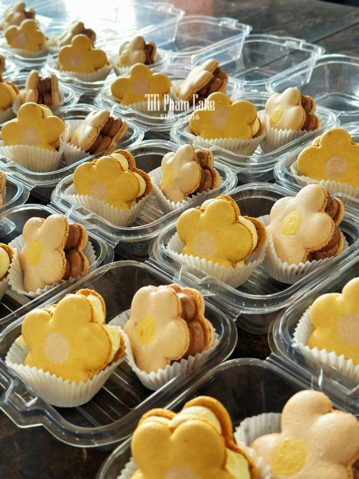 663363209_1363259565838742_2271129480875511558_n